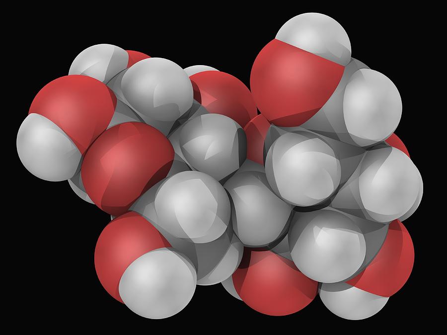 Lactose Molecule Digital Art by Laguna Design