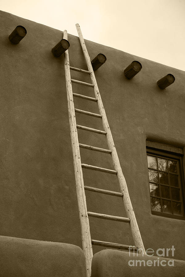 Ladder Photograph by Timothy Johnson