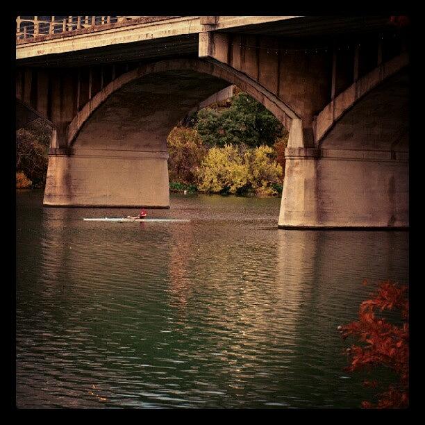 Lady Bird Lake At Congress Bridge In Photograph by James Granberry