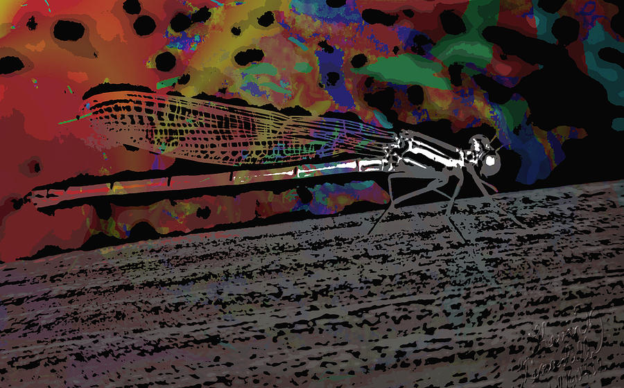 Lady Dragonfly Mixed Media by Kevin Caudill
