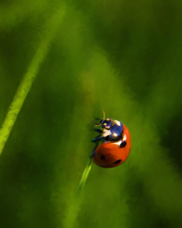 Ladybug Painting - Lady In Red by Steven Richardson