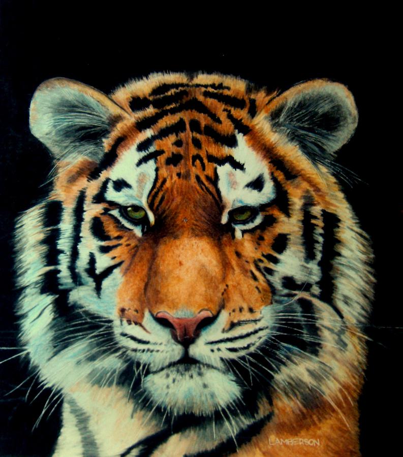 Lady Tiger Painting by Lori Lamberson - Fine Art America