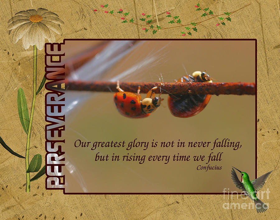Ladybugs Perseverance Inspirational Quote Digital Art by Smilin Eyes Treasures