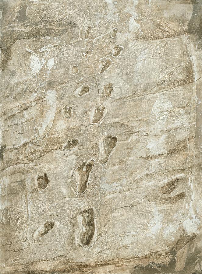 Prehistoric Photograph - Laetoli Fossil Footprints by Kennis And Kennismsf