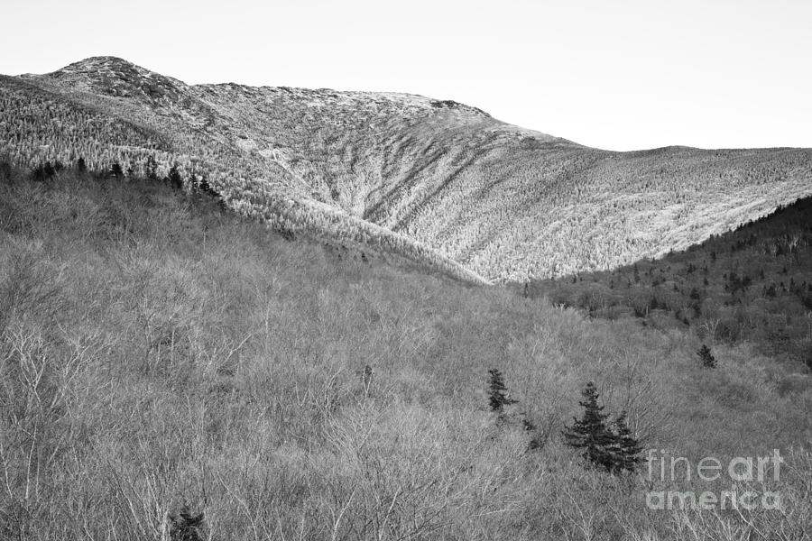Landscape Photograph - Lafayette Brook Scenic Area - White Mountains NH by Erin Paul Donovan