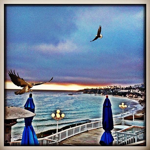 Instagram Photograph - Laguna Beach California - Beach Scene by Chris 👀valencia💋