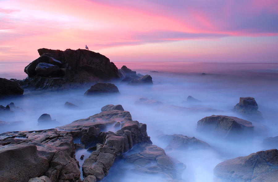Laguna Beach Sunrise Photograph by Dung Ma