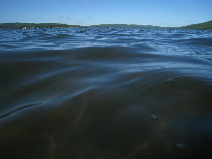 Lake at eye level Photograph by Chris Hearn Fine Art America