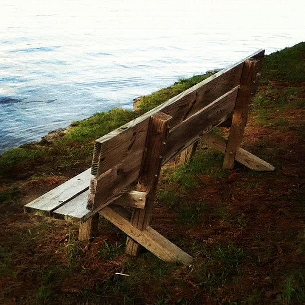 Brown Photograph - #lake #bench #wood #wooden #woodenbench by Kayla St Pierre