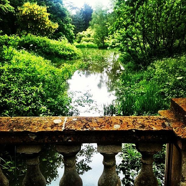 Nature Photograph - #lake #bridge #nature #webstagram by Sharyn Omalley