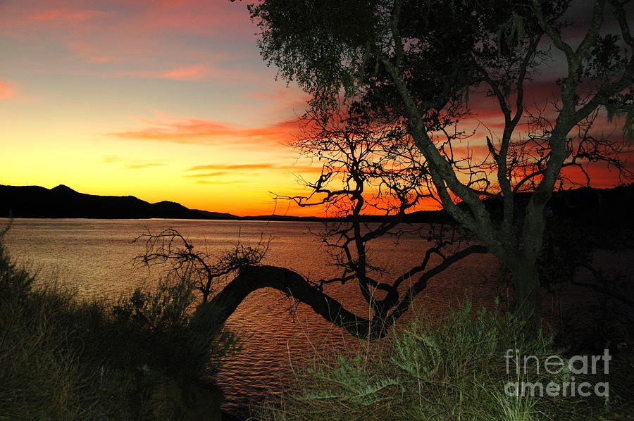 Lake Cachuma Evening Photograph by Johanne Peale