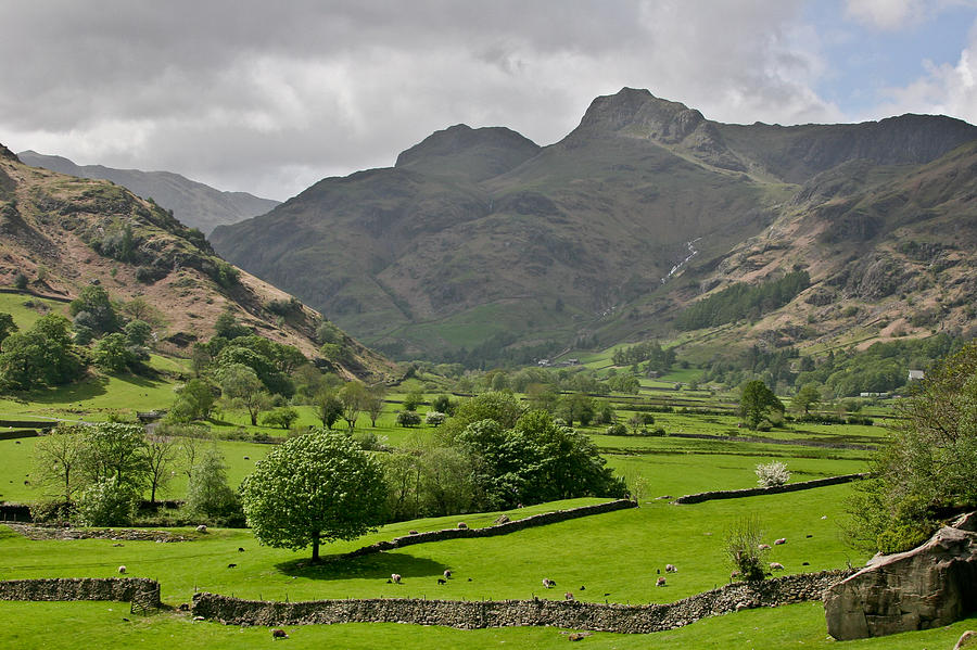 Lake District England Photograph by Tom and Pat Cory