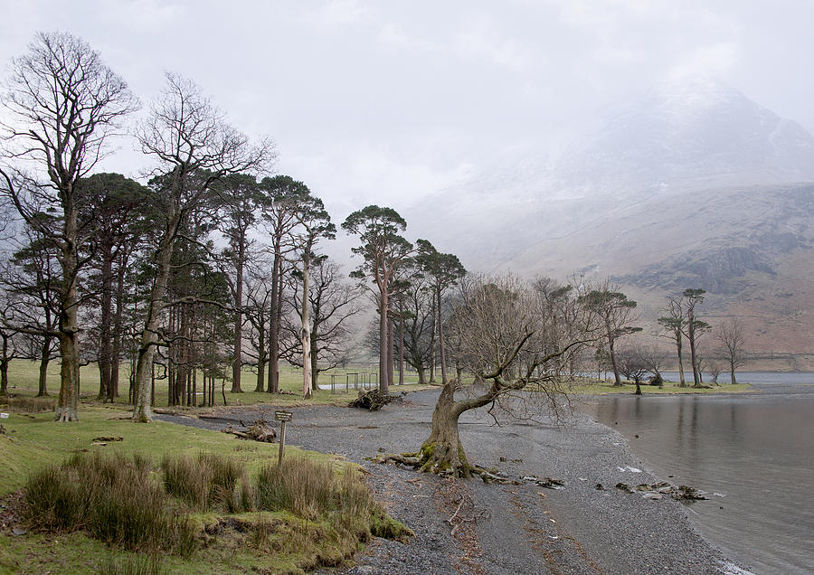 Lake District Photograph by Gouzel -