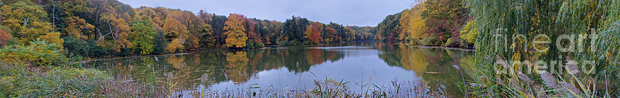 Lake Eastman Photograph by William Norton