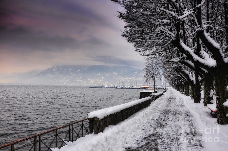 Lake front in winter Photograph by Mats Silvan