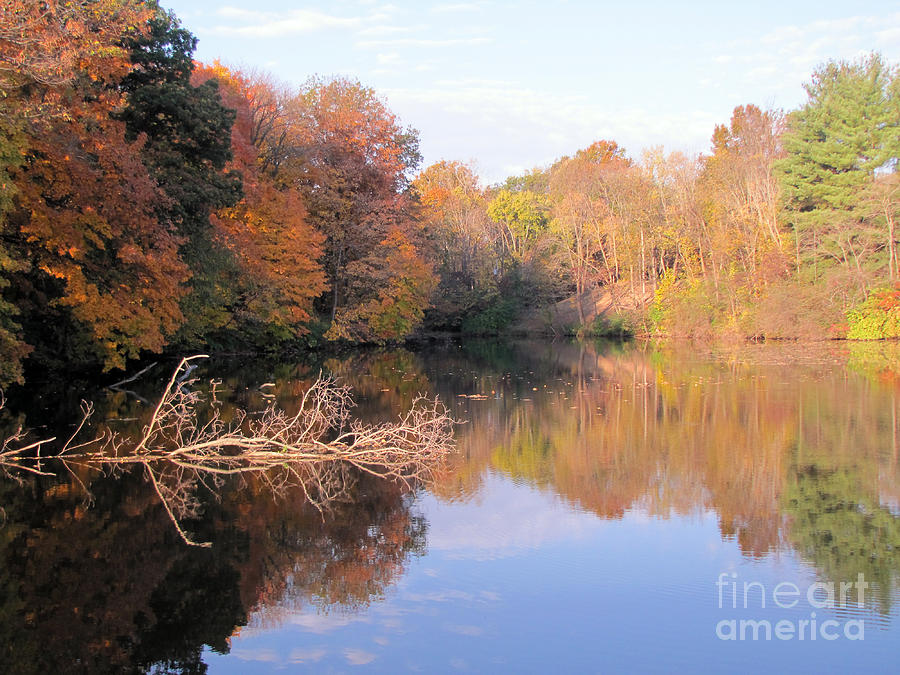 Fall Photograph - Lake In Autumn by Richard Nickson Fall Photograph - Lake In Autumn by Richard Nickson