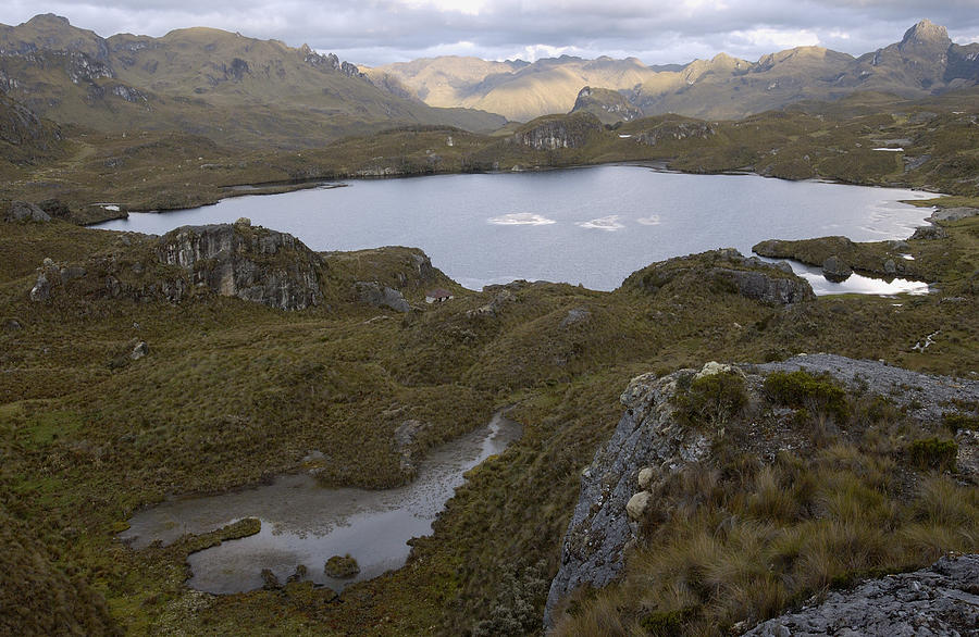 Lake In High Andes Mountains Of Cajas Photograph by Pete Oxford
