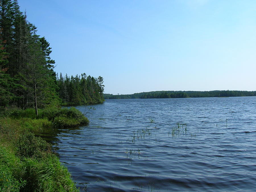 Lake in New Brunswick Canada Photograph by Reg Belliveau - Fine Art America