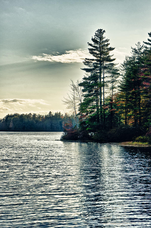Lake in NH Photograph by Edward Myers