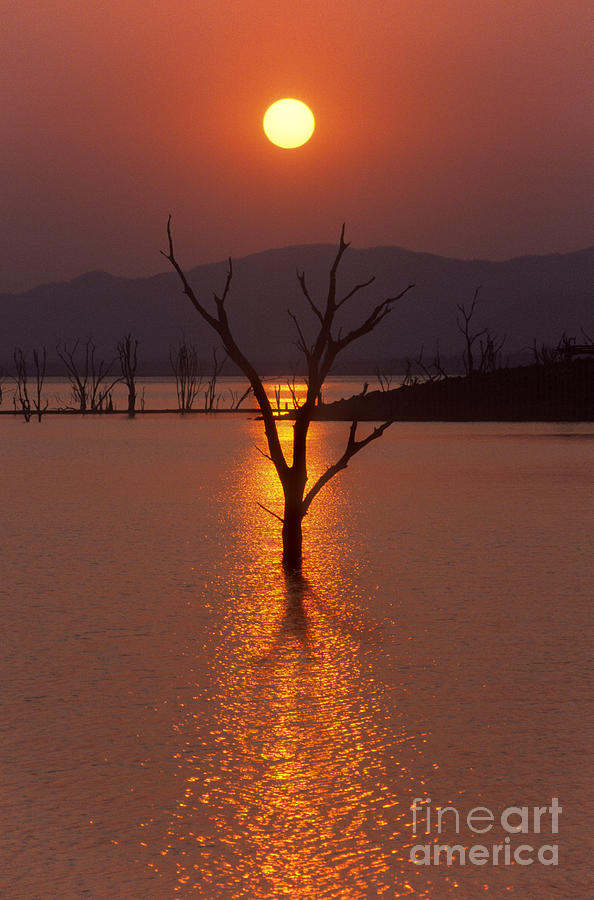 Lake Kariba - Zimbabwe Photograph by Craig Lovell
