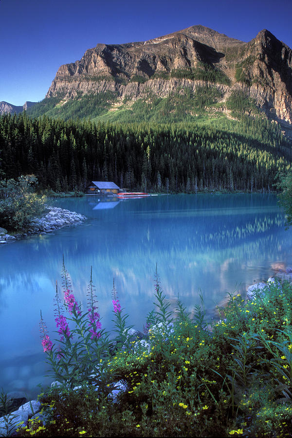 Lake Louise Banff Canada Photograph by Dave Mills