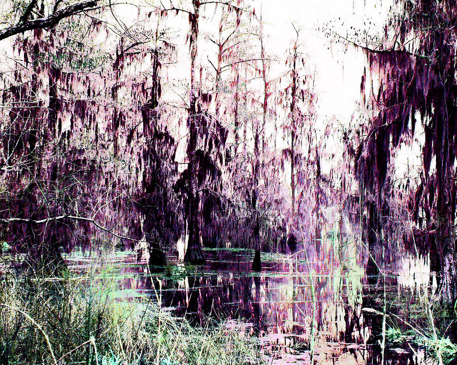 Swamp Digital Art - Lake Martin Swamp 2 by Lizi Beard-Ward