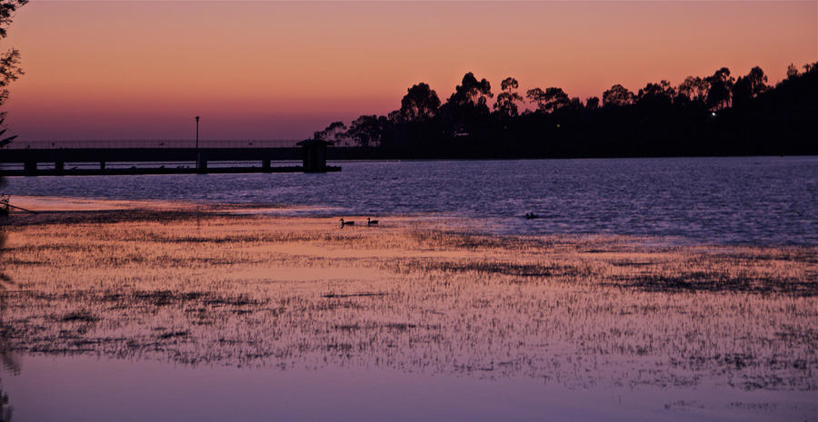 Lake Miramar Sunset 3 Photograph by Jeremy McKay