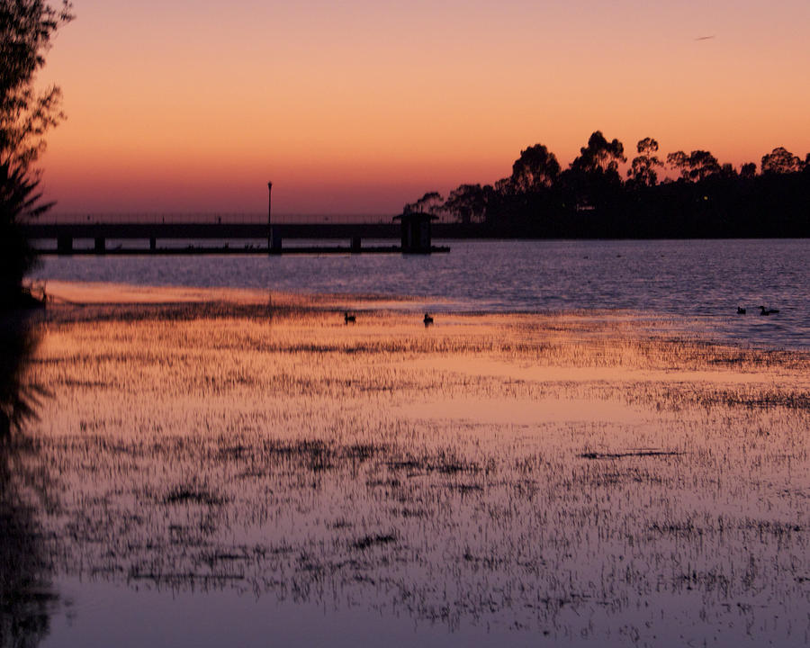 Lake Miramar Sunset 4 Photograph by Jeremy McKay