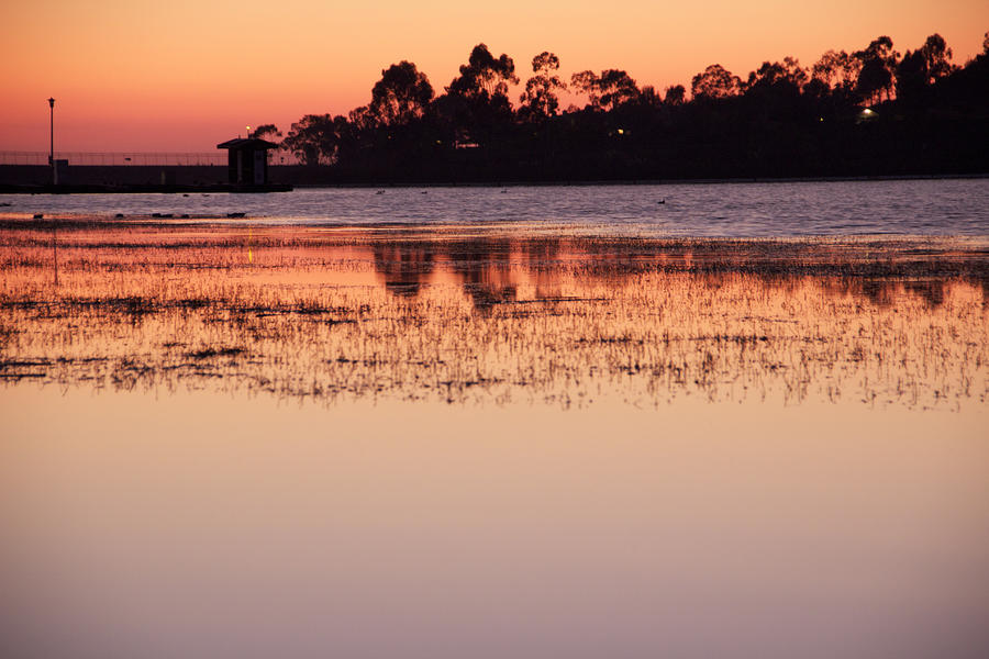 Lake Miramar Sunset 5 Photograph by Jeremy McKay