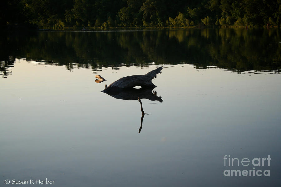 Lake Monster Photograph by Susan Herber
