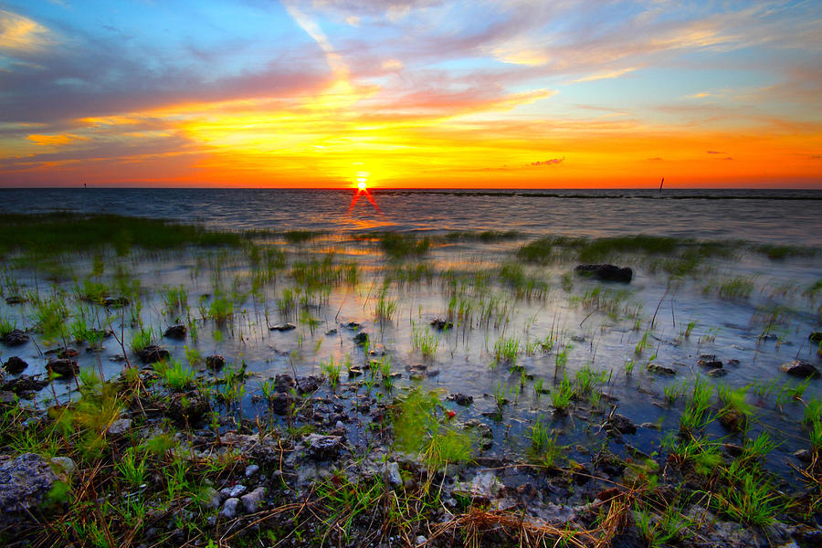 Lake Okeechobee Sunset Photograph by Tracy Welker - Fine Art America