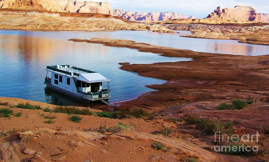 Lake Powell Houseboat Photograph by Michele Penner