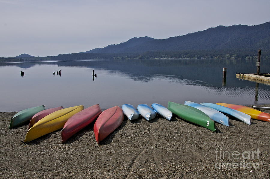 Lake Quinalt Photograph by Sean Griffin