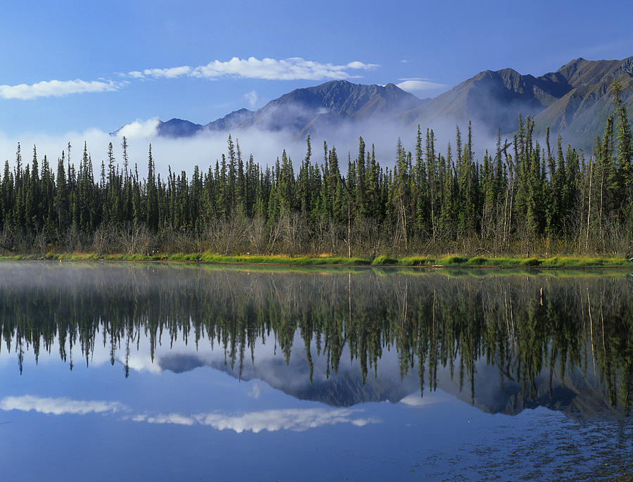 Lake Reflecting Mountain Range Photograph by Tim Fitzharris