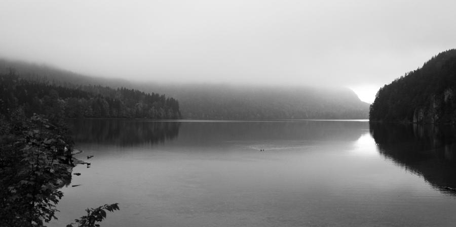 Duck Photograph - Lake Reflection by Paul Roger Ballard