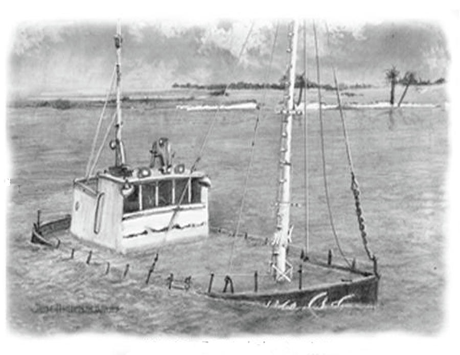 Lake Sumter Sunken Boat Drawing by Jim Hubbard