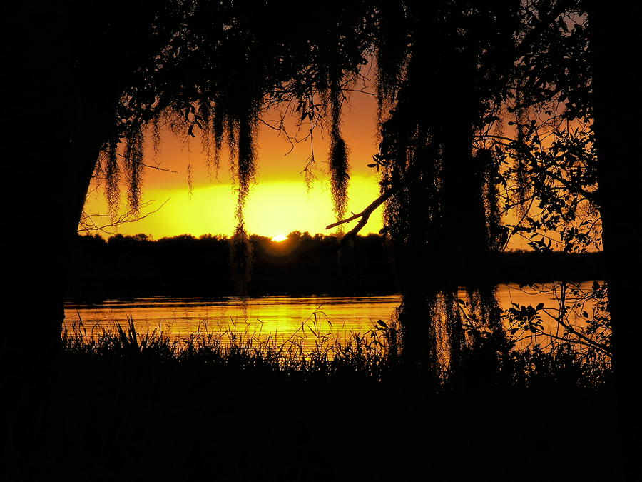 Lake Sunset Photograph by Sally Weigand