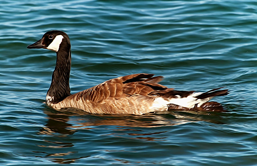 Lake Superior Goose Photograph by Linda Tiepelman