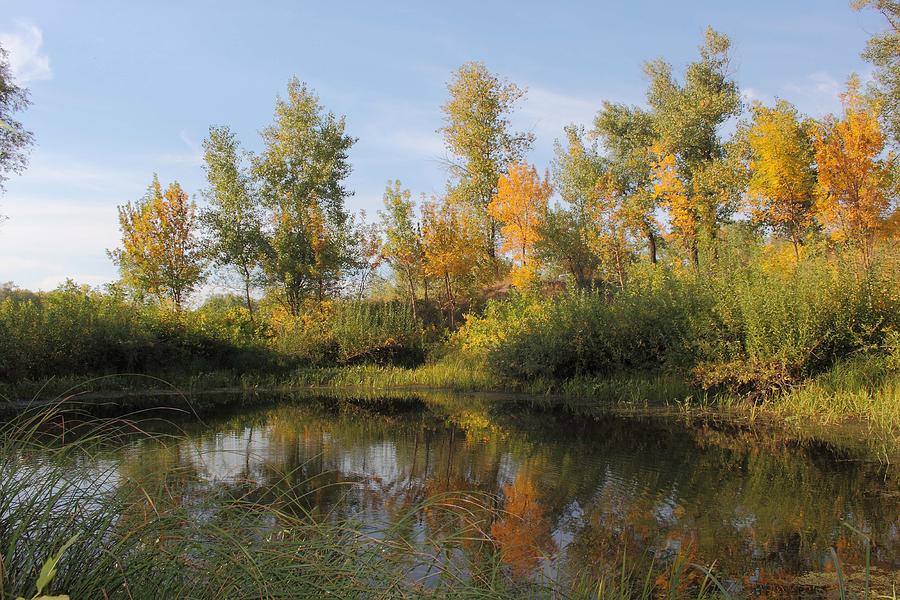 Lake surrounded by autumn forest Photograph by Vadim Burkovsky | Fine ...