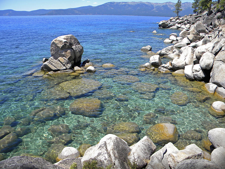 Lake Tahoe Shore Photograph by Frank Wilson