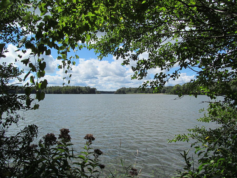 Lake Trees Photograph