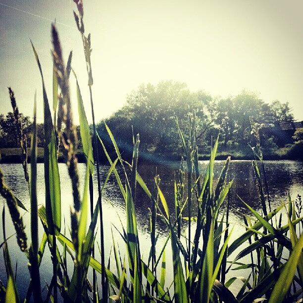 Nature Photograph - #lake #water #pond #skyline #sky #grass by Bryan P