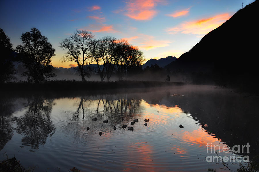 Tree Photograph - Lake with trees and ducks by Mats Silvan