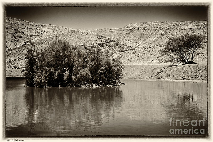 Lake Yeruham Photograph by Arik Baltinester