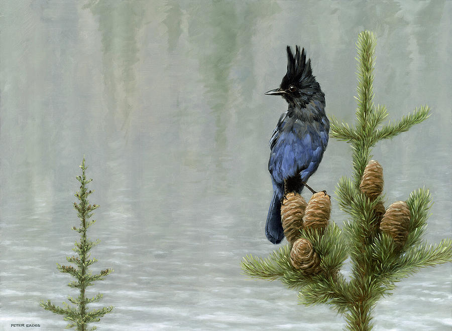 Lakeside Bandit by Peter Eades Lakeside Bandit by Peter Eades