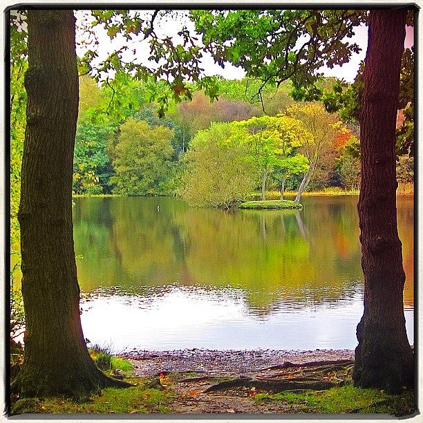 Nature Photograph - Lakeside Scenery #suttonpark #view by Polly Rhodes
