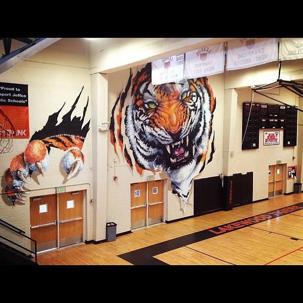 Basketball Photograph - Lakewood Tigers Gym by Wolf Stumpf