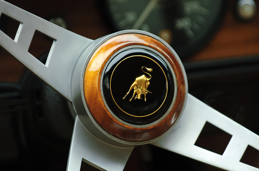 Lamborghini Steering Wheel Emblem Photograph by Jill Reger