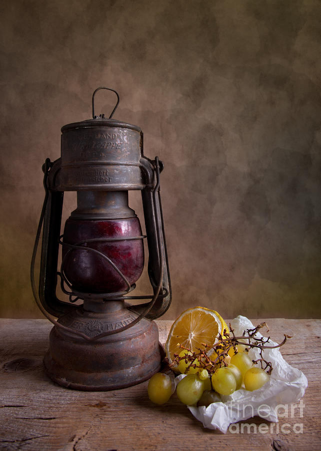 Grape Photograph - Lamp and Fruits by Nailia Schwarz