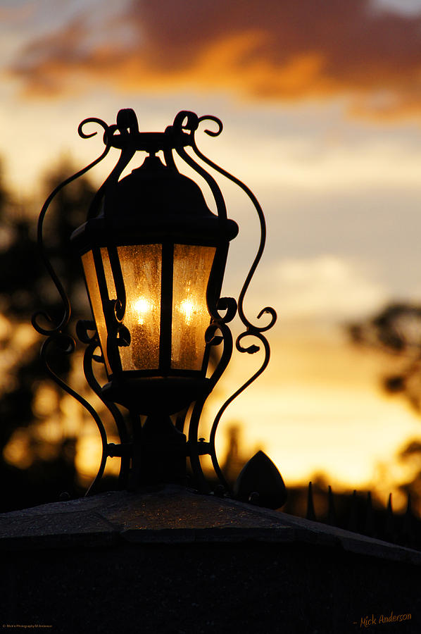 Lamp Light at Sunset Photograph by Mick Anderson
